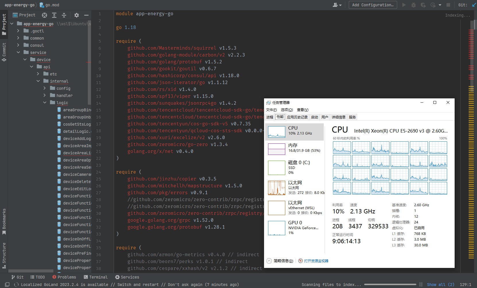 goland-index-file-in-e5-cpu.jpg